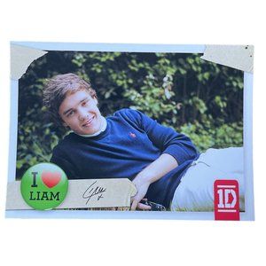 Official One Direction Liam Payne #68 Trading Card 2012 by Panini